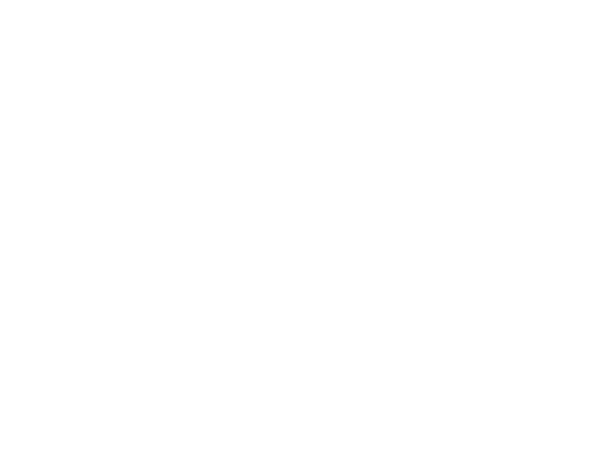 Valido Perfumes Logo